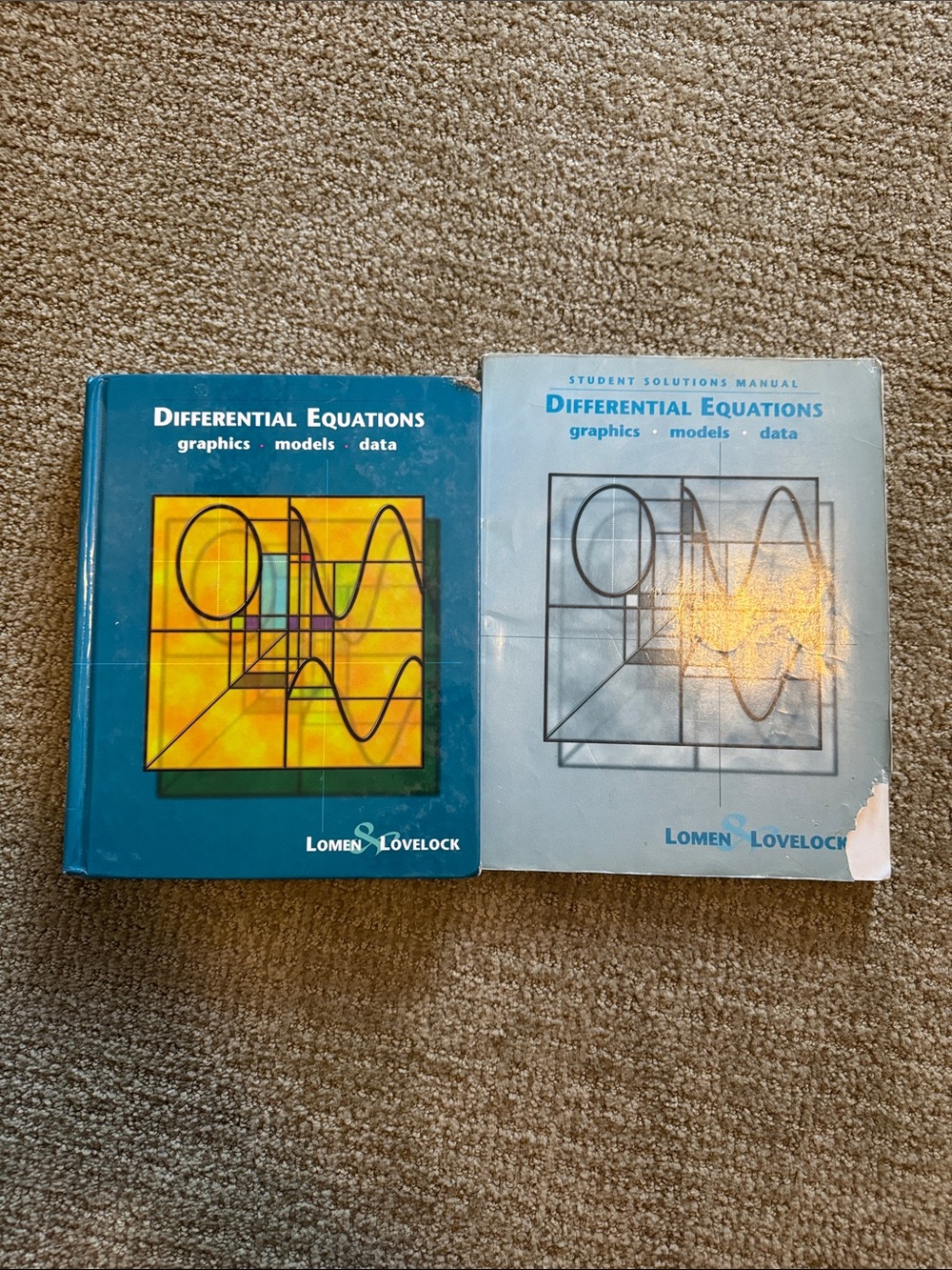 Differential Equations Textbook & Solutions Manual